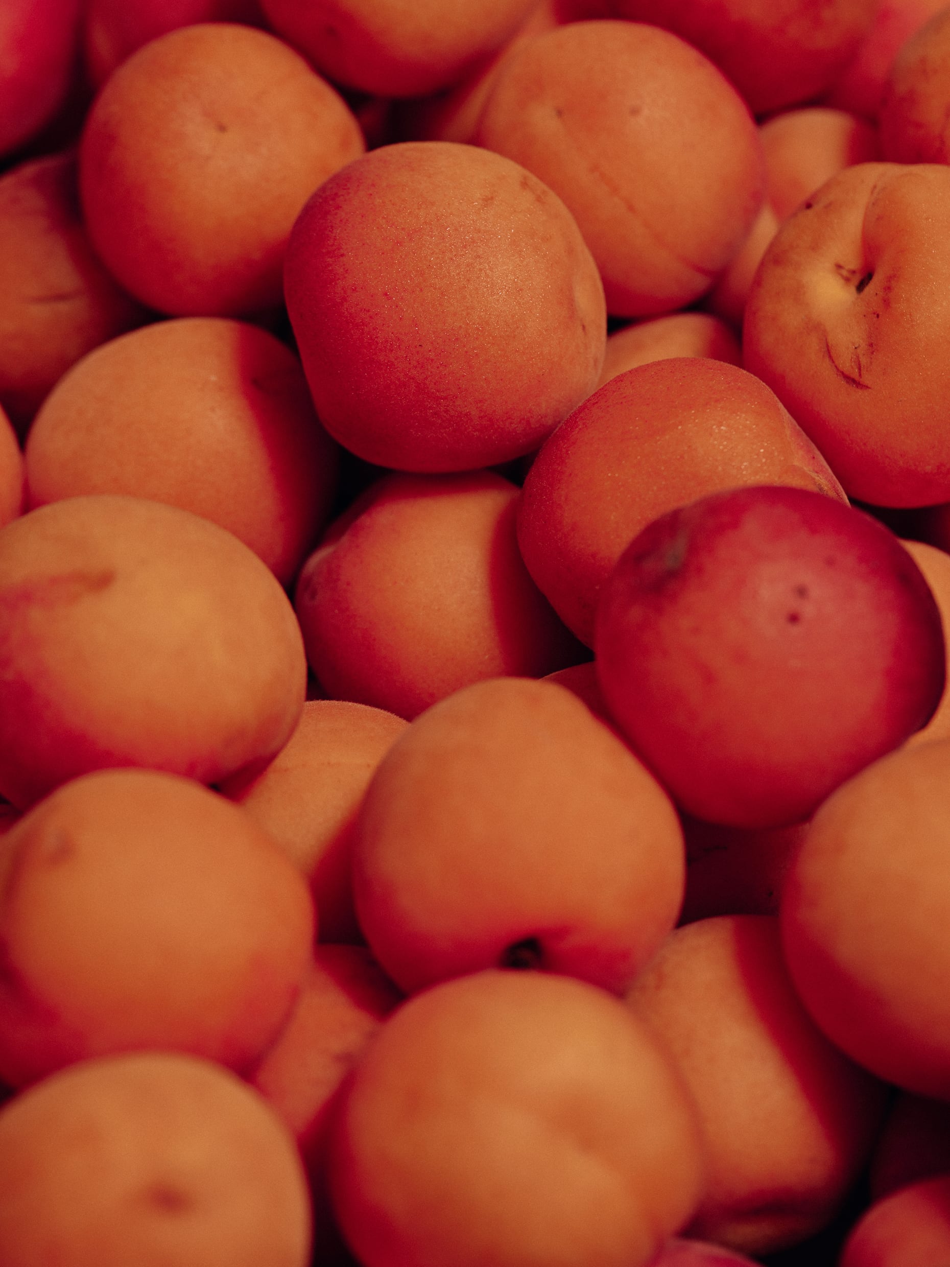 Apricots for vegan and gluten free ice cream